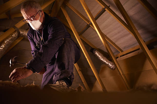 Best Insulation Contractor Near Me  in Stokesdale, NC